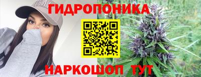 spice Можга